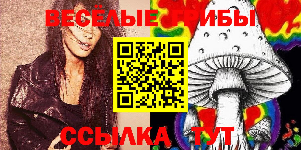 Новочебоксарск  Галлюциногенные грибы прущие грибы  Вход с VPN  Псилоцибиновые грибы GOLDEN TEACHER 