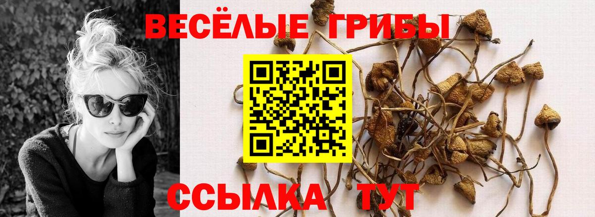 Псилоцибиновые грибы ЛСД Новочебоксарск